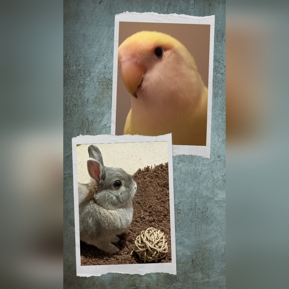 Hello! - Picture 6 of 16